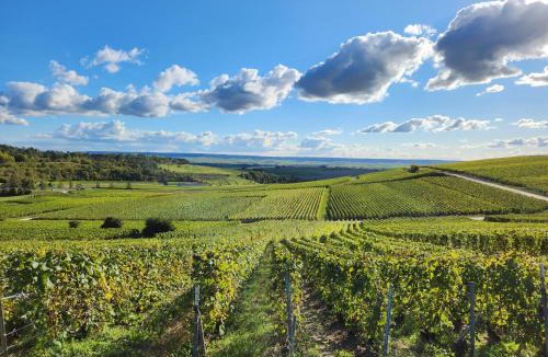 Nogent-l'Abbesse House | Les Pressoirs