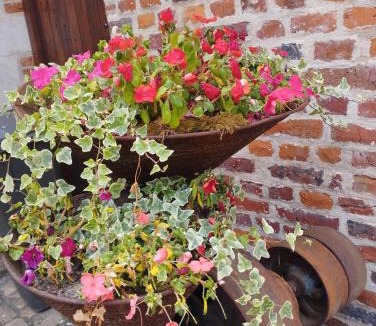 Haspres House | Les racines