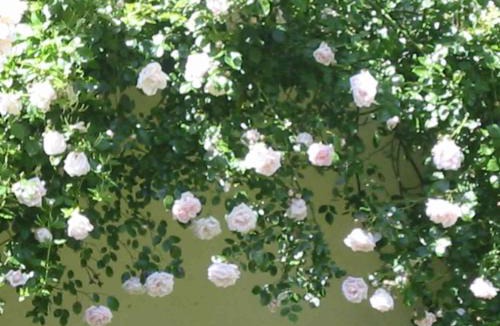 Saint-Remy Bed & Breakfast | Les Rivieres