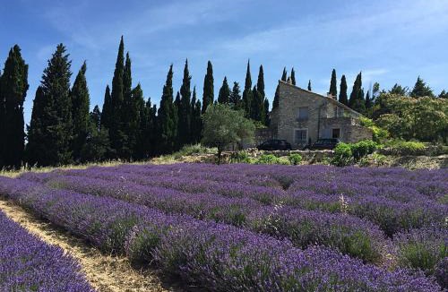 La Garde-Adhemar House | Les Rochettes