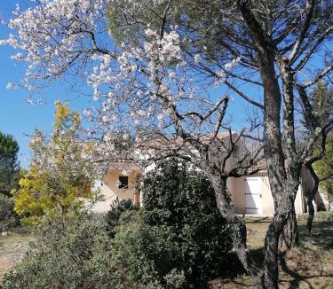 Saint-Jean-de-Minervois House | Les romarins
