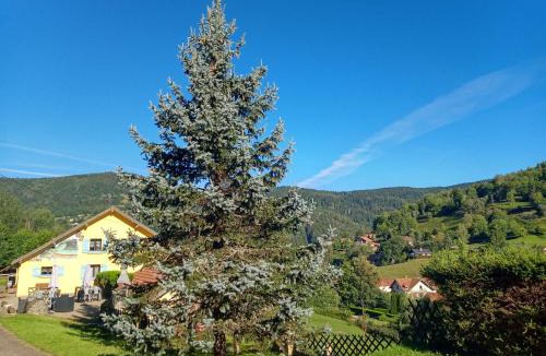 Bussang Bed & Breakfast | Les Sapins