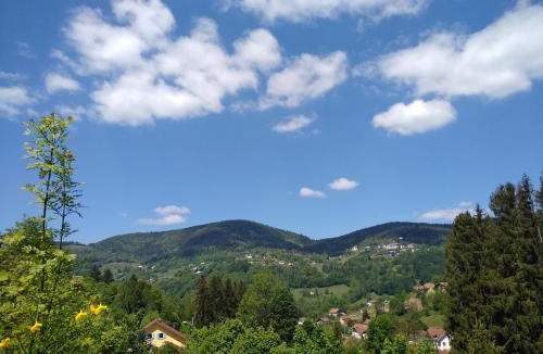 Bussang Bed & Breakfast | Les Sapins