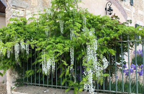 Merry-sur-Yonne House | Les Sauges