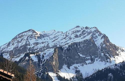 Bellevaux Apartment | Les Silenes