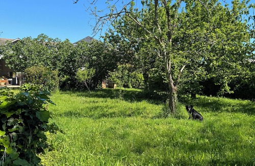 Ordizan House | Les Songes de L'alaric