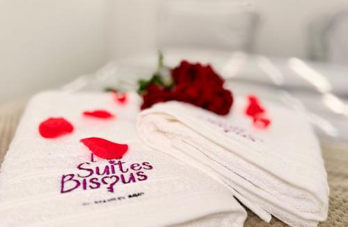 Metz-Centre – Ancienne Ville Apartment | Les Suites Bisous Metz - Jacuzzi & Private Sauna