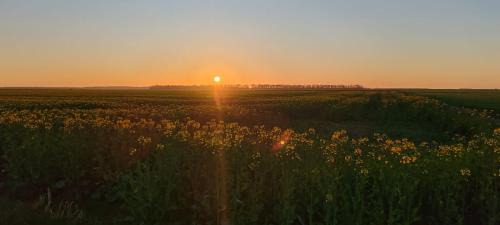 Aufferville Apartment | Les Suites C&S