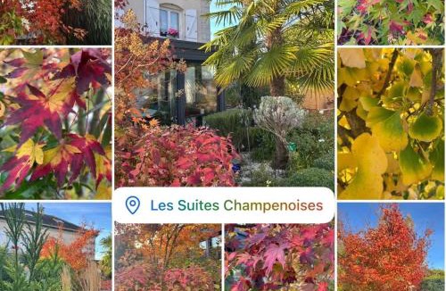 Muire - Haubette Bed & Breakfast | Les Suites Champenoises
