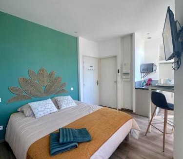 Les Platanes Apartment | Les suites du pont Joffre