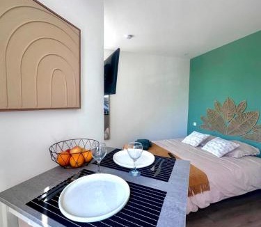 Les Platanes Apartment | Les suites du pont Joffre