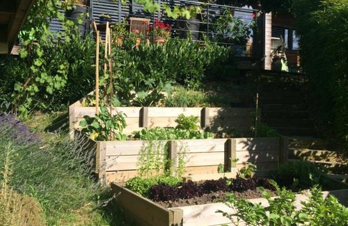 Rochetaillee-sur-Saone Bed & Breakfast | Les Terrasses de Rochetaillée