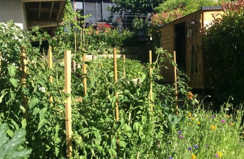 Rochetaillee-sur-Saone Bed & Breakfast | Les Terrasses de Rochetaillée