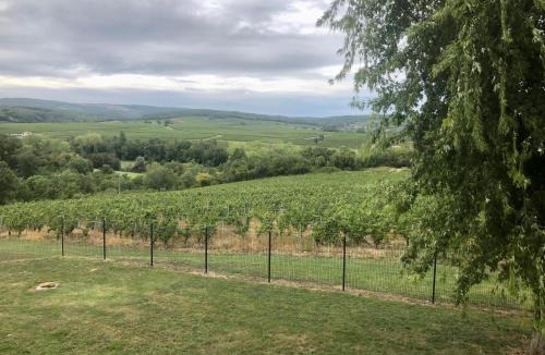 Burgy House | Les tisons de burgy