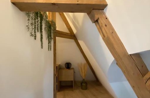 Krutenau Apartment | Les Toits d'Austerlitz