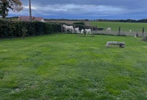 Omecourt House | Les tourterelles