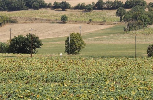 Nogaret Bed & Breakfast | Les treilles d'en Peyre