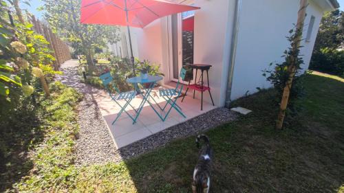 Salies-de-Bearn House | Les Treilles de Salies - Studio au calme