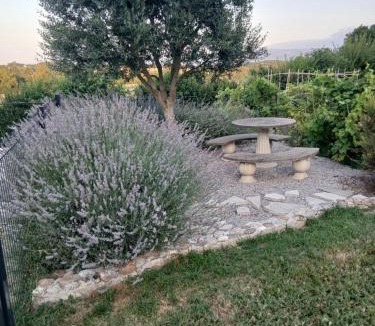 Puylaurens House | Les Treillettes