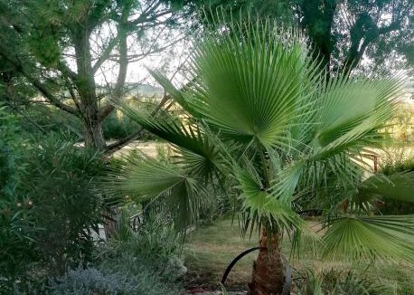 Puylaurens House | Les Treillettes