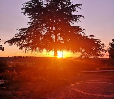 Maylis House | Les Trois Jolies