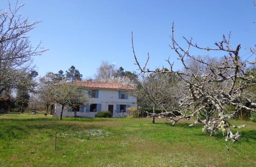 Vert House | Les Tuileries - Vert