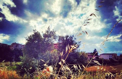 Arnes House | Les Valletes