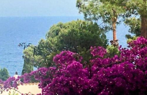 Salionc House | LETS HOLIDAYS House beach in Cala Salions