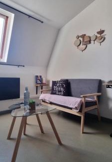 Anzin Apartment | Lia parking rénové proche cité congrès cocon cosy 24m2