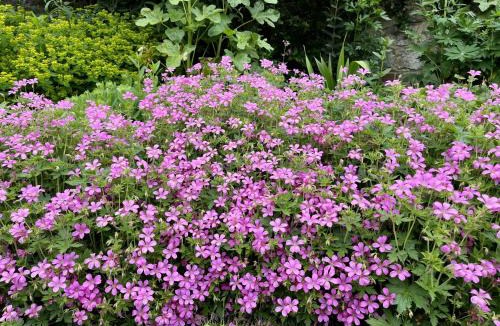 Pulborough House | Library Cottage by inspirestays-com