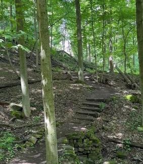 Hamilton House | Licensed-8 Acre Estate, Trail & Stream with 3 Beds