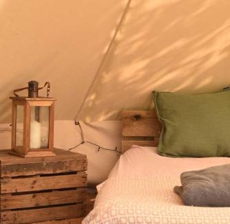 Cullompton Other | Lickham Bottom Camping