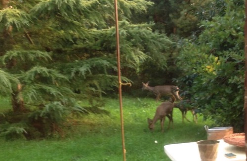 Pont-l'Eveque House | Lieu D'exception, Art, Nature, Piscine
