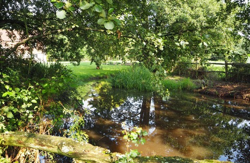 Pulborough House | Light airy studio conversion