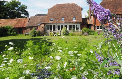 Pulborough House | Light airy studio conversion