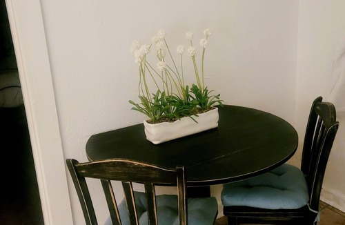 Brownwood House | Light & Bright - Small Bungalow