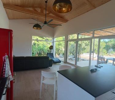 Mejannes-le-Clap House | Light filled contemporary villa with pool