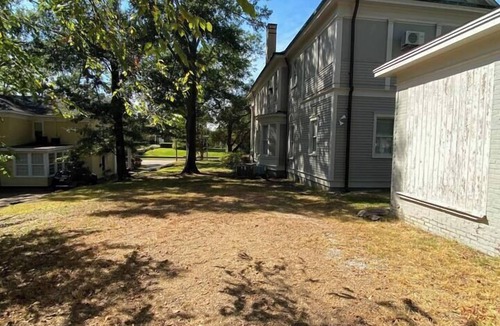 Greater Belhaven Apartment | Light-Filled Loft in 1905 Belhaven Historic Home