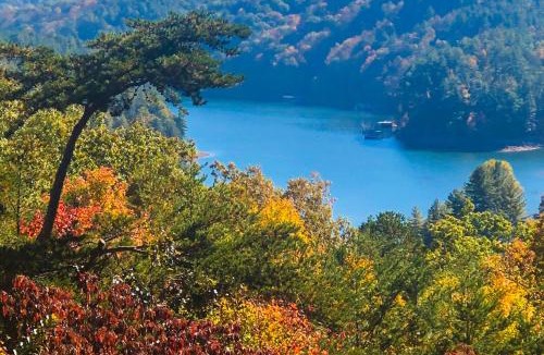 Necowa Cove House | Light's Mountain Lake Overlook