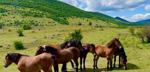 Rudopolje Bruvanjsko House | Lika Mountain Lodge