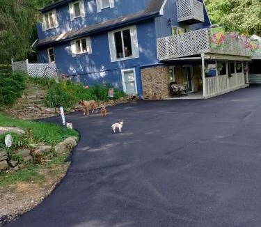 Gnaw Bone Bed & Breakfast | Lil Black Bear Inn