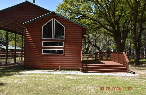 Canton Cabin | Lil' Cabin In The Woods