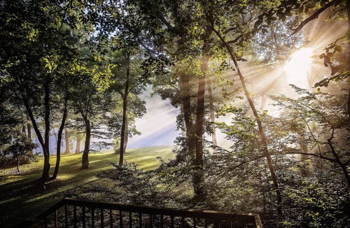 Wilburn House | Lil Shangri-La on the Little Red River -walk in river access