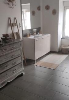 Giromagny Apartment | Lilas