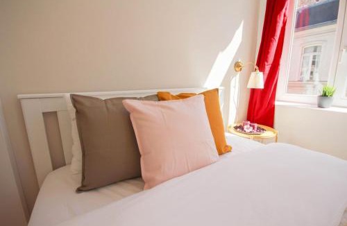 Historic Center Apartment | Lille centre- Nice and bright equipped studio