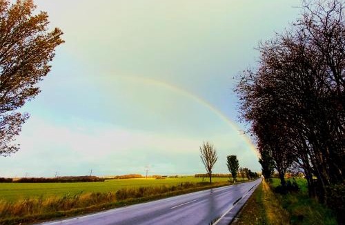 Vojens Other | Lille Landsted Camping