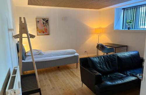Randers Apartment | Lille Skovgaarden ved parken med gratis parkering
