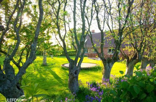 Ringkobing House | Lilleledgaard country house