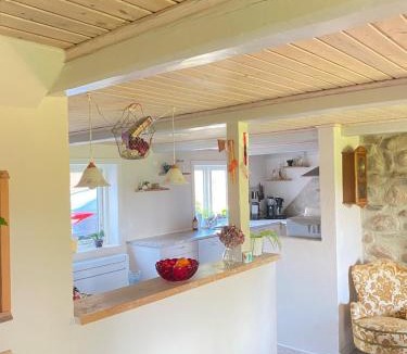 Ringkobing House | Lilleledgaard country house