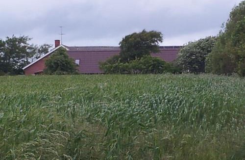 Ringkobing Apartment | Lilleledgaard studio